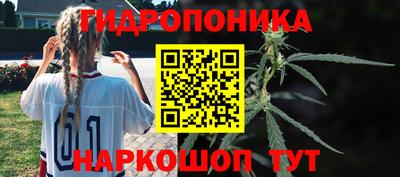 амф Новокубанск