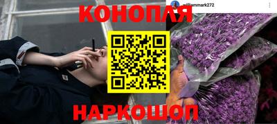 спайс Новодвинск
