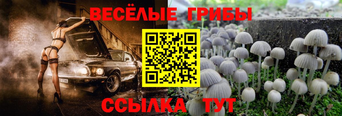 Псилоцибиновые грибы ЛСД Пугачёв