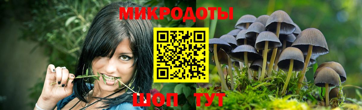 Галлюциногенные грибы прущие грибы  Вход с VPN  Псилоцибиновые грибы мухоморы  Пугачёв 