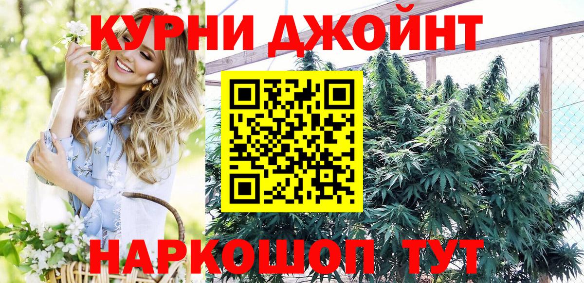 Конопля сатива Пугачёв